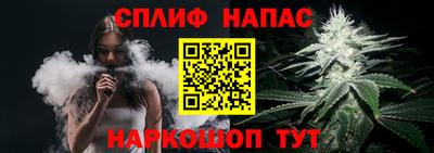гашик Кунгур