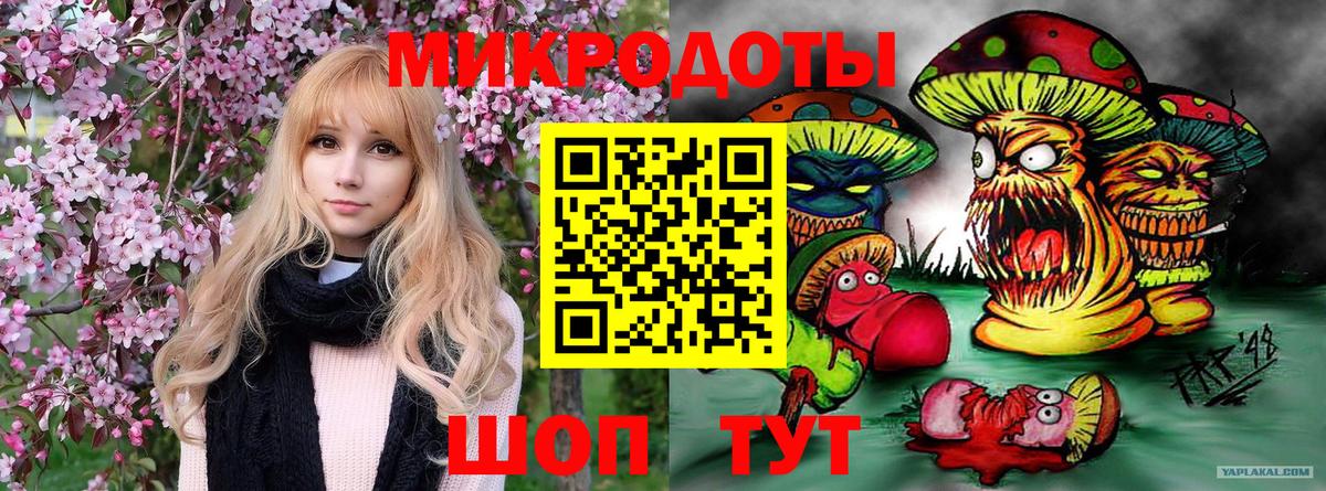 даркнет сайт  Галлюциногенные грибы MAGIC MUSHROOMS  Вход с VPN  Элиста 